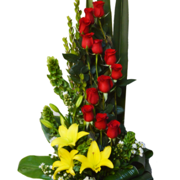 Zig zag de rosas
