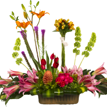 Atado de alstroemeria primaveral
