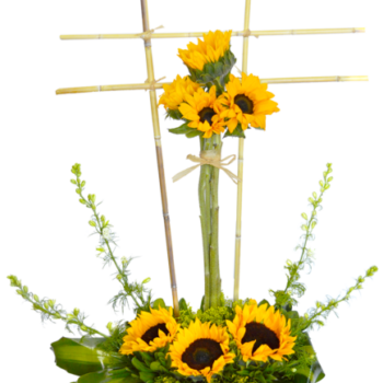 Atado de girasoles