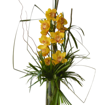 Cymbidium en florero