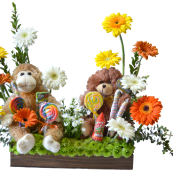 Flores y peluches para bebé