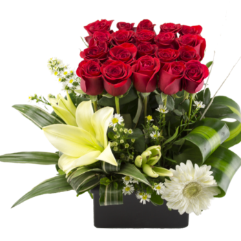 Caja de Rosas