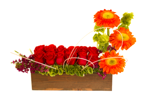 Camino de rosas