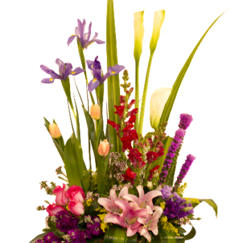 Jardín floral