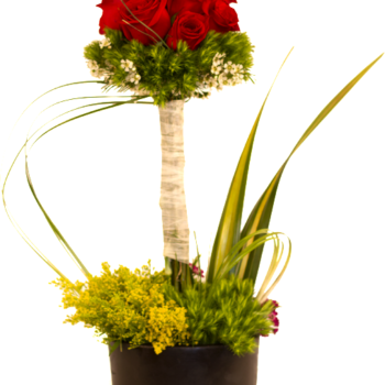 Topiario de rosas