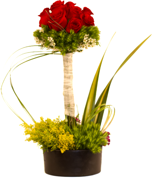 Topiario de rosas