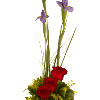 Detalle de iris con rosas