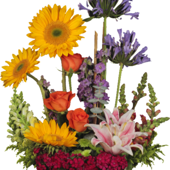 Tierna primavera