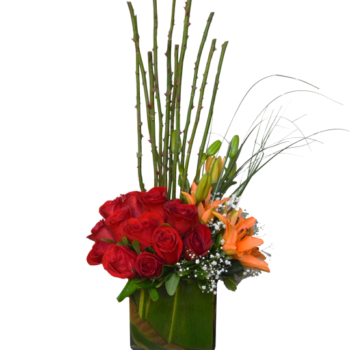 Rosas y espinas