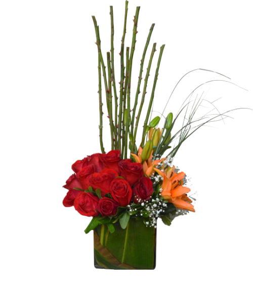 Rosas y espinas
