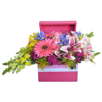 Caja Primaveral
