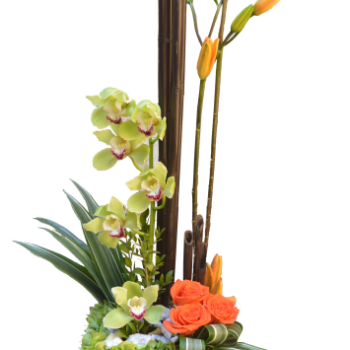 Diseño exclusivo Disflor