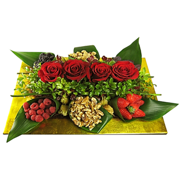 Florafruit diseño moderno
