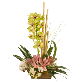 Diseño Ikebana Cymbidium