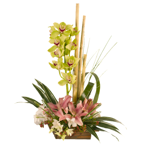Diseño Ikebana Cymbidium