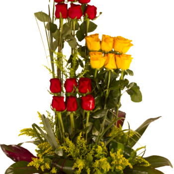 Rosas en tres niveles