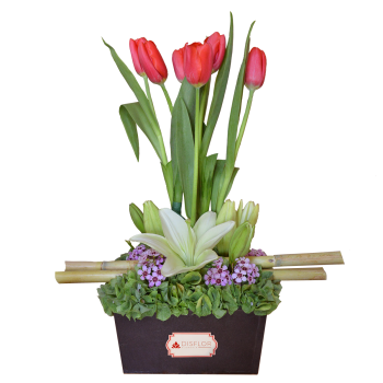 Tulipanes y lilis