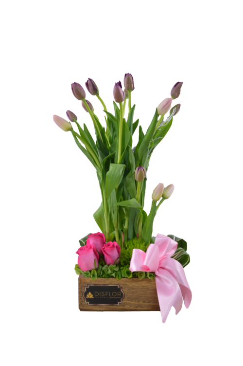 Lluvia de tulipanes