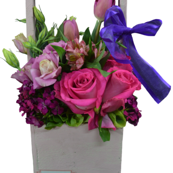 Rosa de Mamá