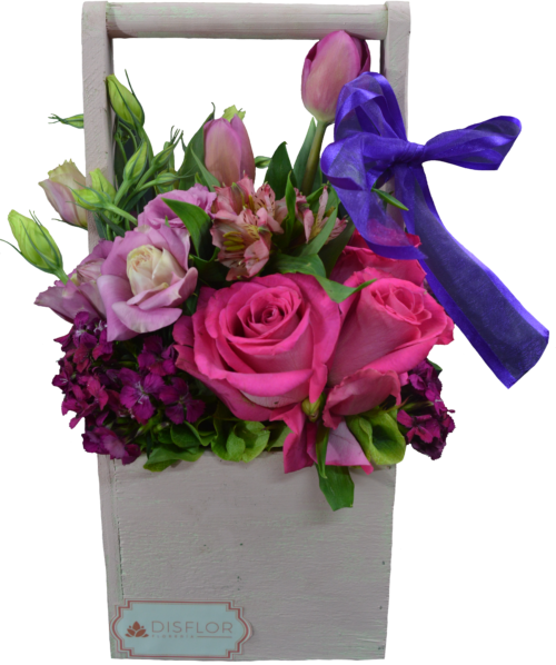 Rosa de Mamá
