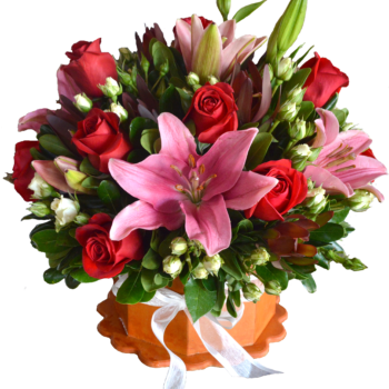 Rosiris