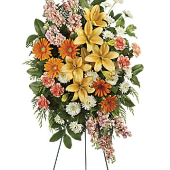 Corona spray primaveral