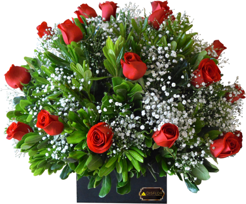 Resplandeciente amor