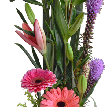 Primaveral en vertical