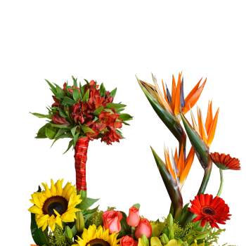 Jardín otoñal