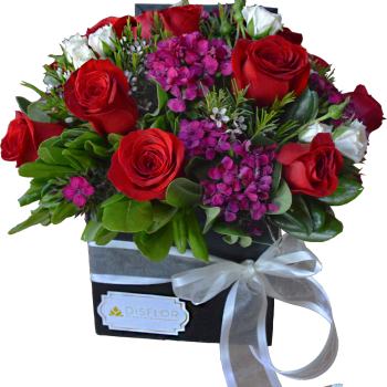 Cubo de 12 rosas