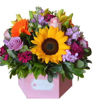 Primaveral Hexagonal