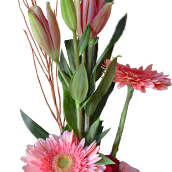 Mini Cilindro primaveral