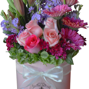 Cilindro Primaveral Rosa