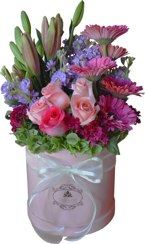 Cilindro Primaveral Rosa