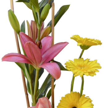 Detalle Primaveral