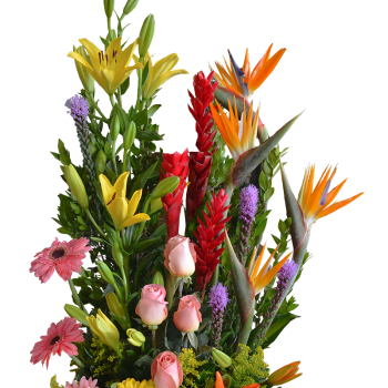 Radiante primavera