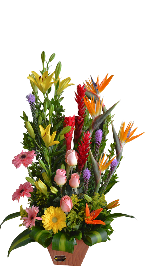 Radiante primavera
