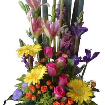 Eterna Primavera