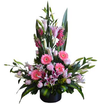 Rosalinda