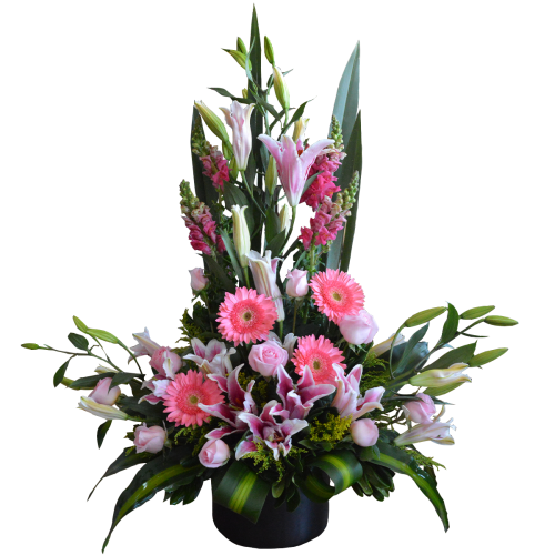 Rosalinda