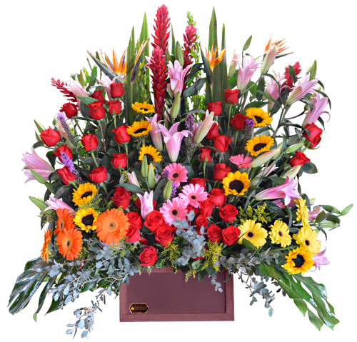 Eden floral