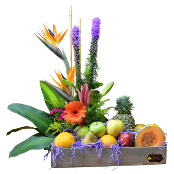 Florafruit con aves y liatris