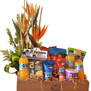 Botanera con aves del paraíso
