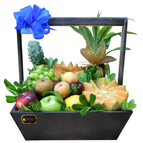 Frutal con planta