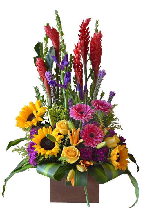 Primaveral extendido