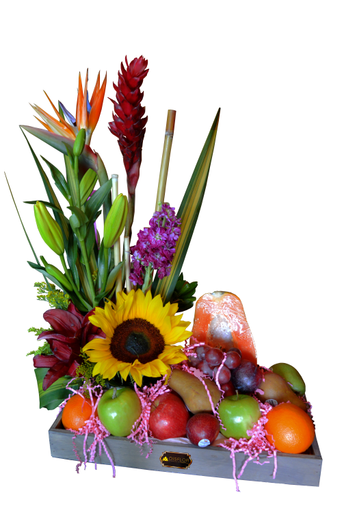 Frutal con girasol