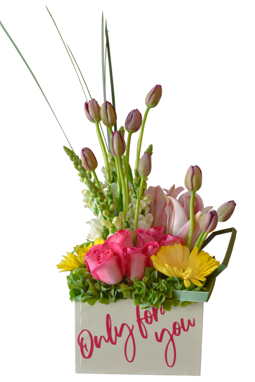 Tulipanes 'Only for you'