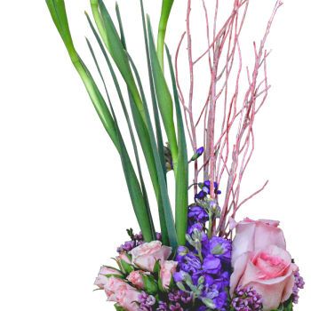 Elegante detalle
