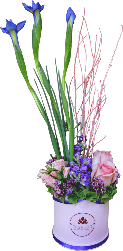 Elegante detalle