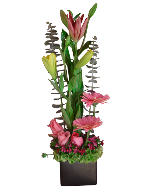 Cubito Primaveral